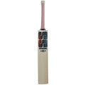 SS Gunther English Willow Cricket Bat – SH (Set of 2)