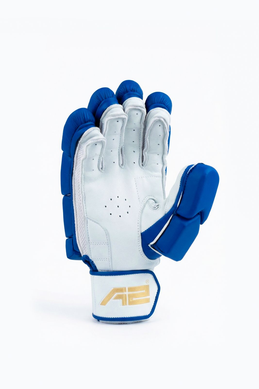 Cricket Batting Gloves - Blue